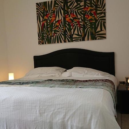 New Quay Surf Lookout - King Size En-Suite With Sea Views מראה חיצוני תמונה