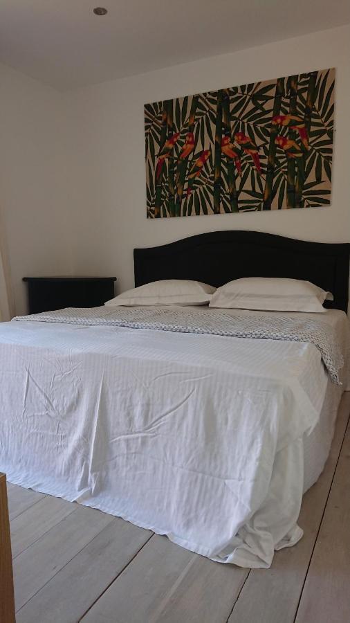 New Quay Surf Lookout - King Size En-Suite With Sea Views מראה חיצוני תמונה
